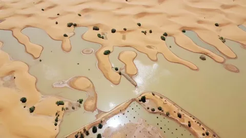 The Sahara Desert Floods After Rare Torrential Rains