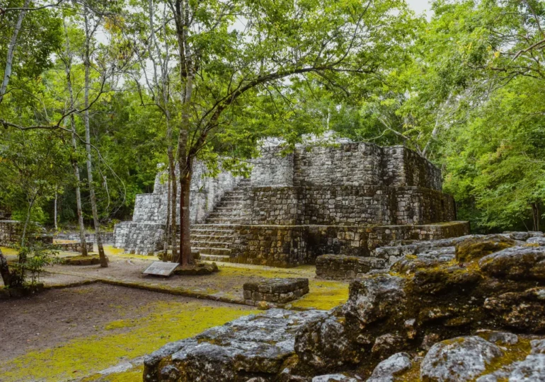 Lost Maya City of Valeriana Uncovered in Mexico, Revealing Over 6,600 Structures