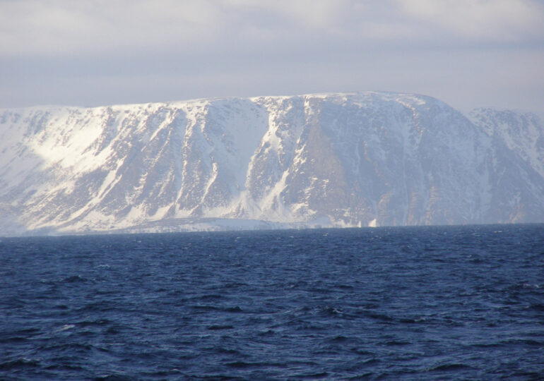 Largest Ocean Predator-Prey Encounter Ever Recorded Captured Near Norway’s Coast