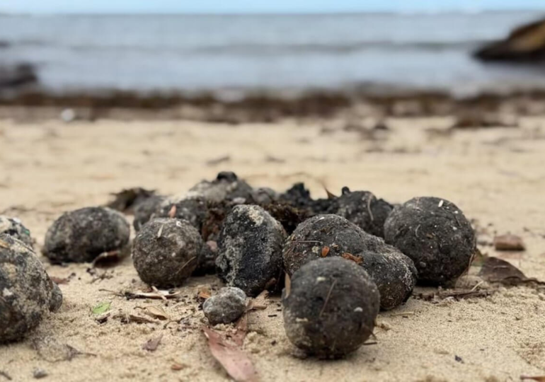 Mysterious Black Balls on Sydney Beaches Identified as Fatbergs