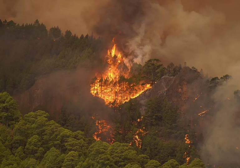 Ecuador Declares National Emergency as Wildfires and Drought Worsen