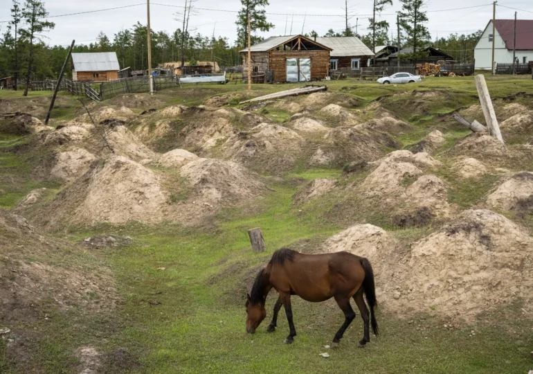 New Study Reveals Arctic Siberia Summers Were 10°C Warmer During Last Interglacial